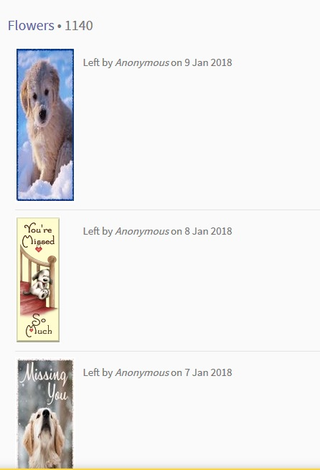 Love for an angel, taken too soon. (Screenshot: findagrave.com)